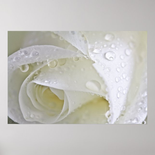 Crystal Rain Poster (Framsidan)