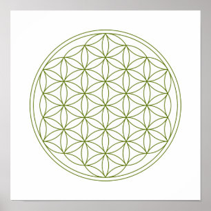 Crystal raster - blomma av liv poster