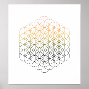 Crystal raster - blomma av liv poster