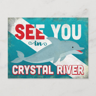 Crystal River Dolphin - Retro Vintage resor Vykort