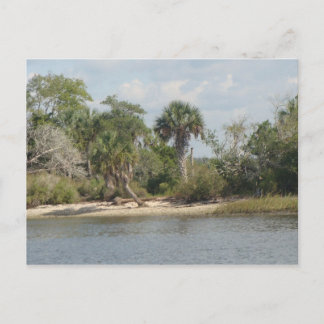 Crystal River Florida Vykort