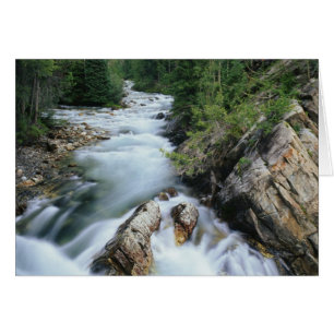 Crystal River, Gunnison National Forest, Hälsningskort