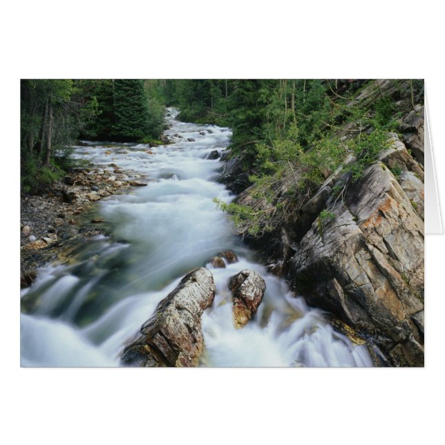 Crystal River, Gunnison National Forest, Hälsningskort (Framsidan Horizontal)