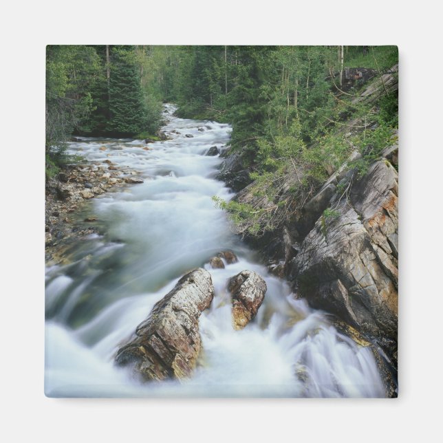 Crystal River, Gunnison National Forest Magnet (Framsidan)