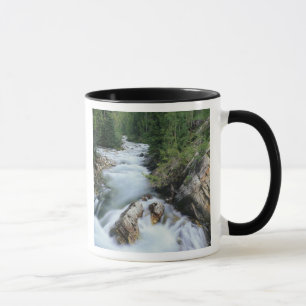 Crystal River, Gunnison National Forest, Mugg