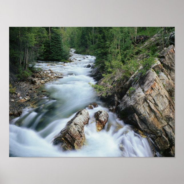 Crystal River, Gunnison National Forest Poster (Framsidan)