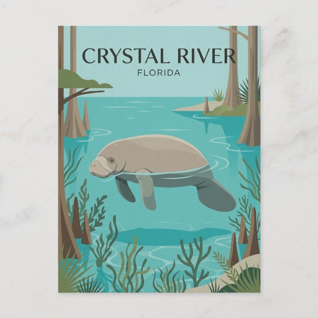 Crystal River USA Vykort (Framsida)