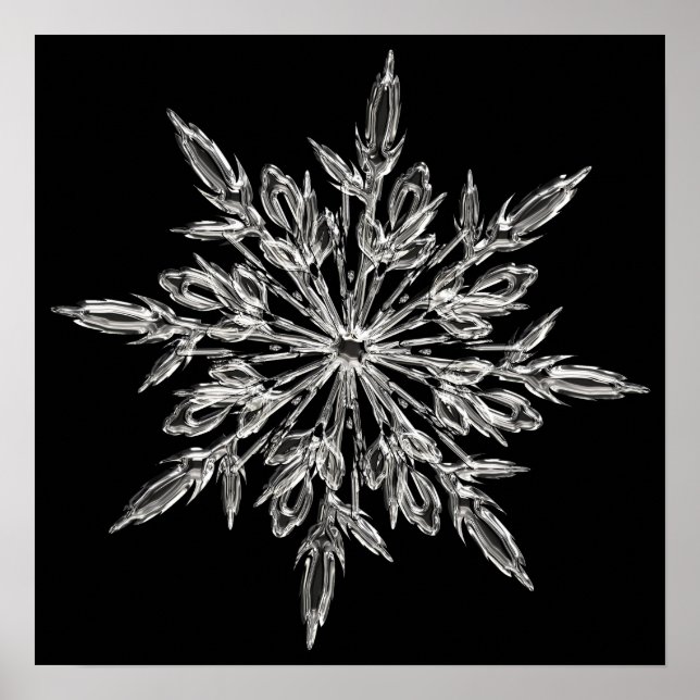 Crystal snowflake poster (Framsidan)