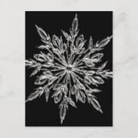 Crystal snowflake