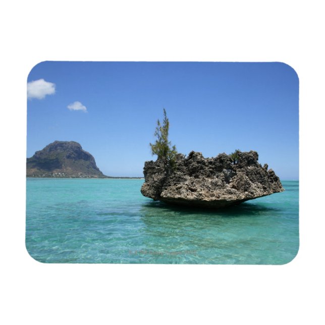 Crystal sten bestående av korall magnet (Horisontell)