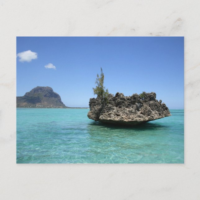 Crystal sten bestående av korall vykort (Framsida)