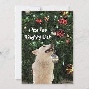 Crystal's Naughty List - Husky Hund jul Flat Julkort