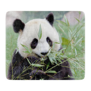 Cshing Board Photo jätte panda , djur 0147.