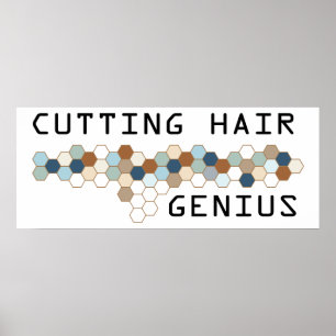 Cshing Hair Genius Poster