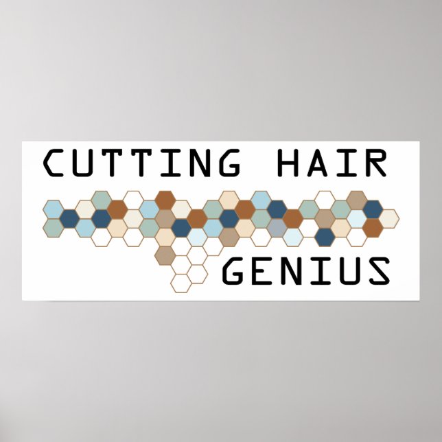 Cshing Hair Genius Poster (Framsidan)