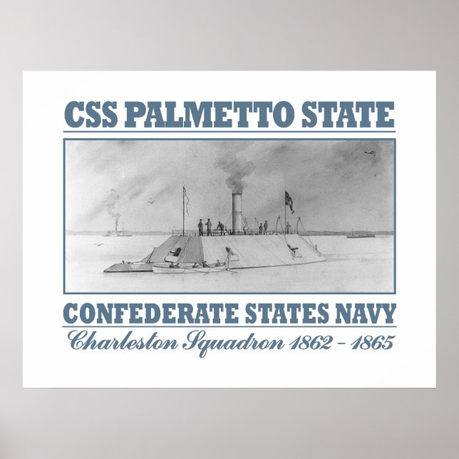 CSS Palmetto-tillstånd Poster (Framsidan)