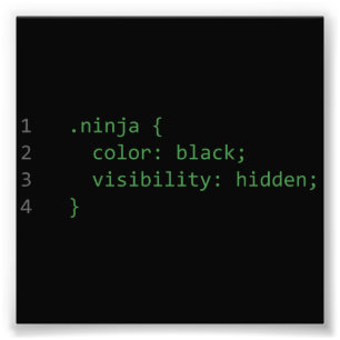 CSS som kodifierar Ninja Fototryck