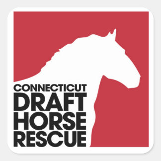 CT Draft Horse Rädding Sticker Fyrkantigt Klistermärke