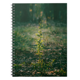 Cuaderno con fotografía de naturaleza anteckningsbok