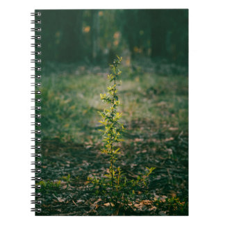 Cuaderno con fotografía de naturaleza anteckningsbok