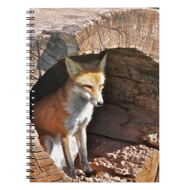 Cubbyhål Anteckningsbok (Framsidan)