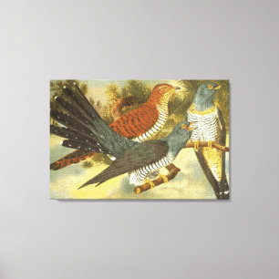 Cuckoo Birds med Modern Art Kanvastryck