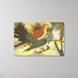 Cuckoo Birds med Modern Art Kanvastryck