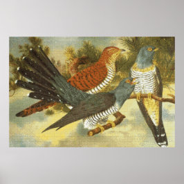 Cuckoo Birds med Modern Art Poster
