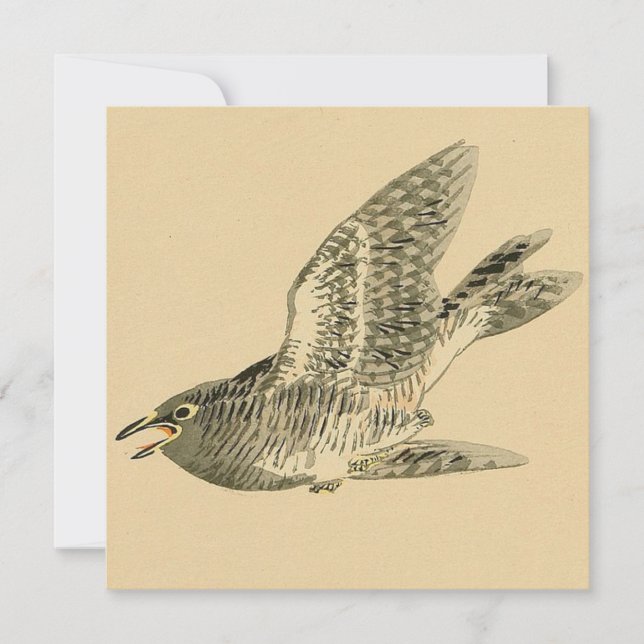 Cuckoo (japansk konst) (av Kono Bairei) Kort (Framsida)