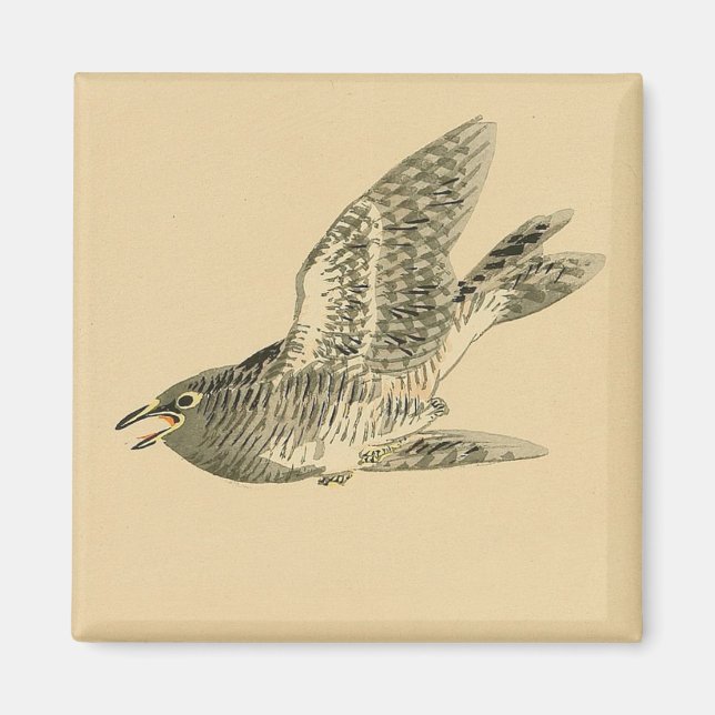Cuckoo (japansk konst) (av Kono Bairei) Magnet (Framsidan)