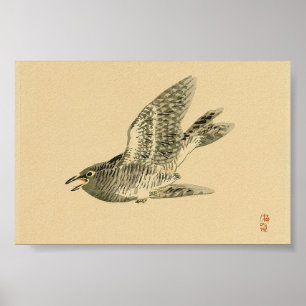 Cuckoo (japansk konst) (av Kono Bairei) Poster