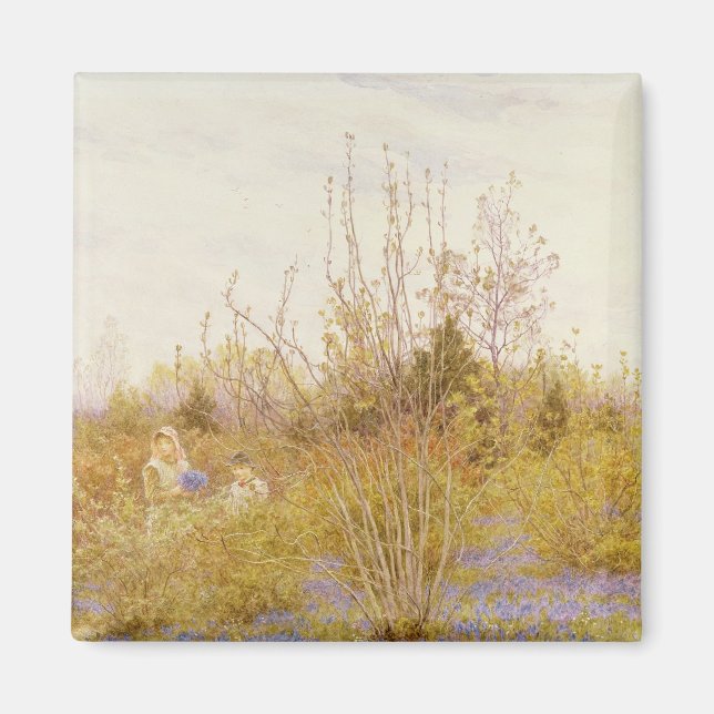 Cuckoo Magnet (Framsidan)