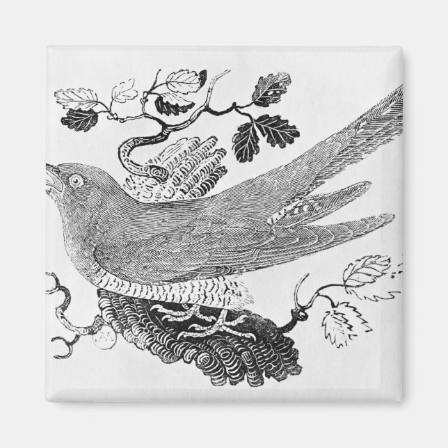 Cuckoo Magnet (Framsidan)