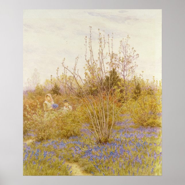 Cuckoo Poster (Framsidan)