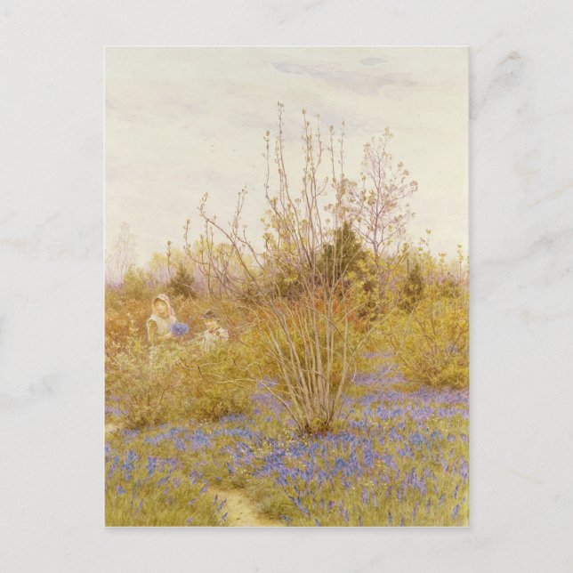 Cuckoo Vykort (Framsida)