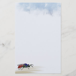 Cuckoo Wasp Brevpapper