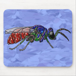 Cuckoo Wasp Musmatta