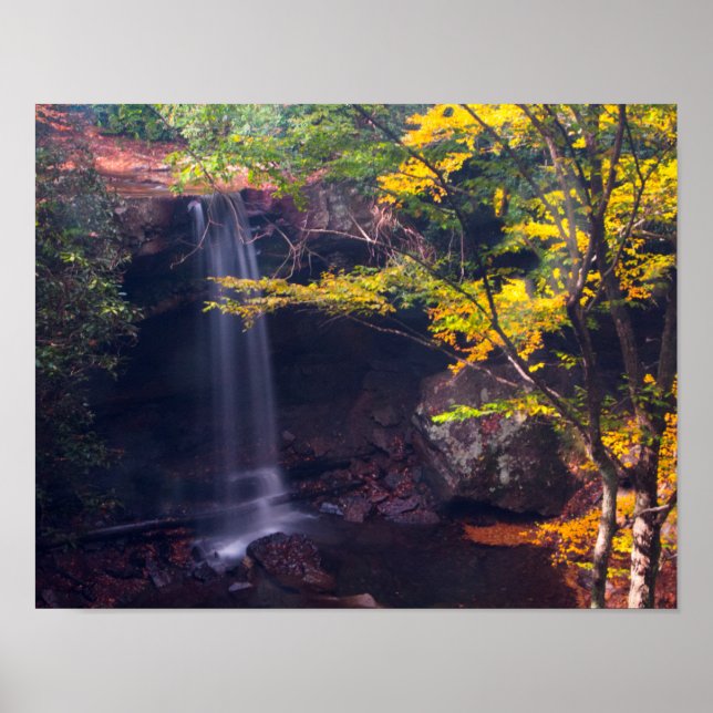 Cucumber Falls, Ohiopyle State Park, Pennsylvania Poster (Framsidan)