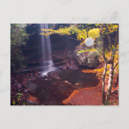 Cucumber Falls, Ohiopyle State Park, Pennsylvania Vykort