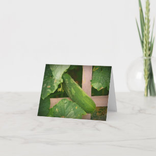 Cucumber Notecard Kort