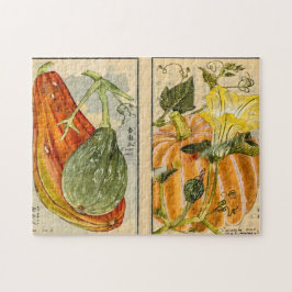 Cucurbita pepo - Seikei Zusetsu Pussel