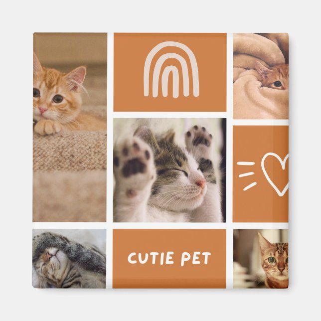 Cuddle Critters: Plocka Perfekten Cutie Pet-plush Magnet (Framsidan)