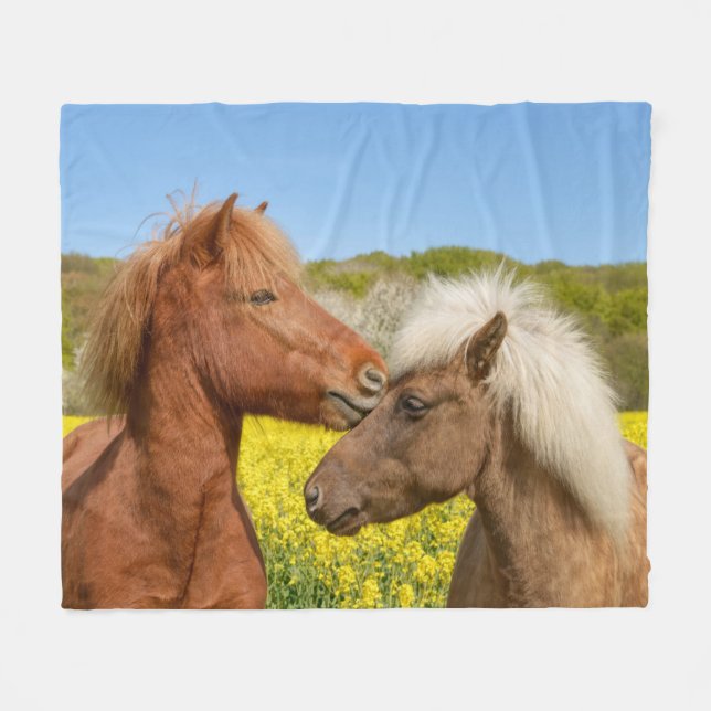 Cuddle de Cute Islands Horses Cuddle i Vår - Fleecefilt (Framsidan (Horisontell))