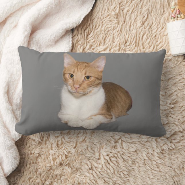 CUDDLE GINGER & WHITE PILLOWS LUMBARKUDDE (Filt)