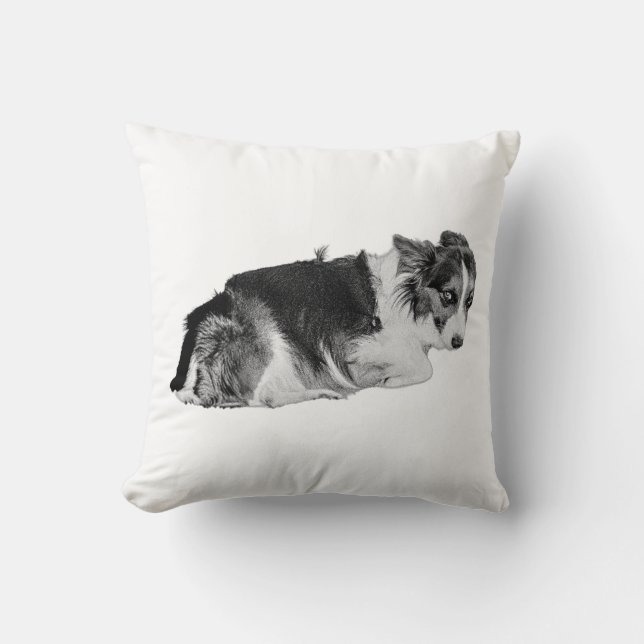 Cuddle Godkänd Kudde (Framsida)