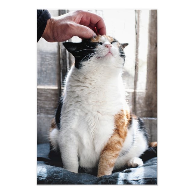 Cuddles Fototryck (Framsidan)