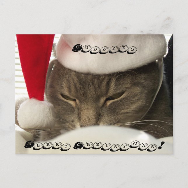Cuddles, God jul! Helg Vykort (Framsida)