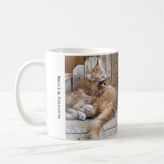 Cuddling Cats Kaffemugg