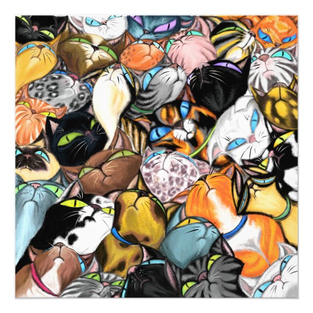 Cuddling Cats Poster (Framsidan)