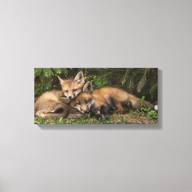 Cuddling Fox Kits Canvastryck (Framsida)